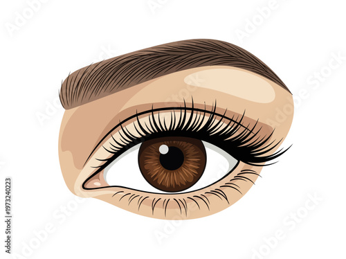 Flat feminine eye with brown iris, long lashes, clean outline, refined beauty minimal design style