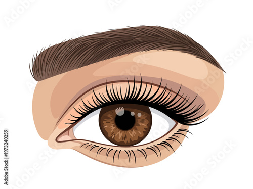 Flat feminine eye with brown iris, long lashes, clean outline, refined beauty minimal design style