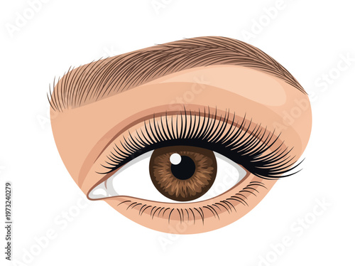 Flat feminine eye with brown iris, long lashes, clean outline, refined beauty minimal design style