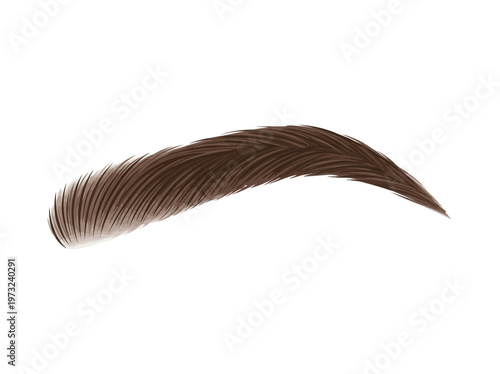 Flat human eyebrow with natural arch, clean hair detail, subtle shading, minimal beauty design