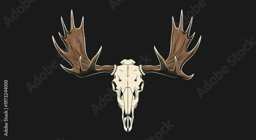 Majestic Moose Antlers Skull Illustration on a Black Background - A Symbol of Wilderness and Nature's Power