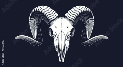 Detailed black and white illustration of a ram's skull with large, curled horns against a dark background
