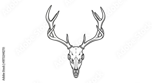 Illustrative Deer Skull with Antlers, a Striking Symbol of Nature's Raw Beauty and Wildlife