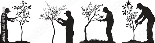 Gardener pruning tree vector silhouettes, landscaping maintenance concept, seasonal gardening work, professional arborist care illustration design