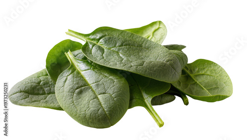 Fotografía Isolated pile of fresh organic baby spinach leaves for healthy delicious cooking