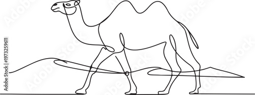 Elegant continuous line art of a desert camel walking gracefully across sandy dunes, a minimalist monochrome illustration capturing the essence of Arabian wildlife and arid landscapes