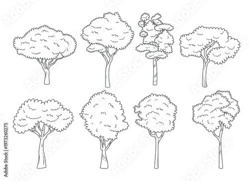 CAD Tree Collection, Architectural Landscape Trees, AutoCAD Tree Elevation Line Drawing Vector Set