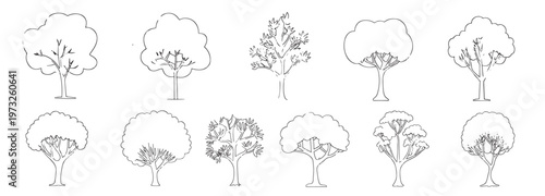 CAD Tree Straight View, Architectural Tree Elevation, Landscape Tree Line Drawing AutoCAD Vector Set