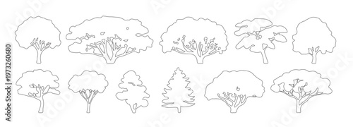 CAD Tree Top View Mixed Set, Landscape Plan Tree Symbols, AutoCAD Architectural Tree Vector Collection