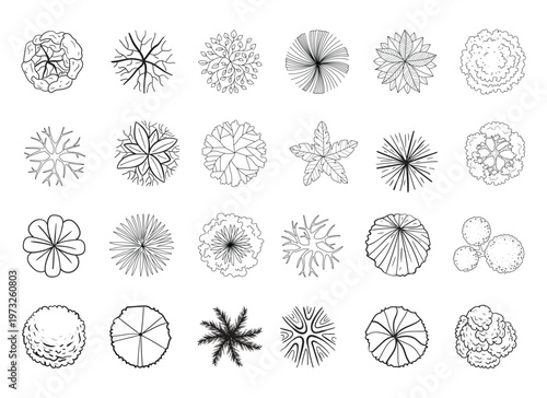 CAD Tree Top View Set, Landscape Plan Trees, Architectural Tree Symbols, AutoCAD Plan Vector Collection