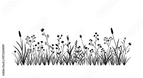 minimalist wildflowers line art illustration on white background for design