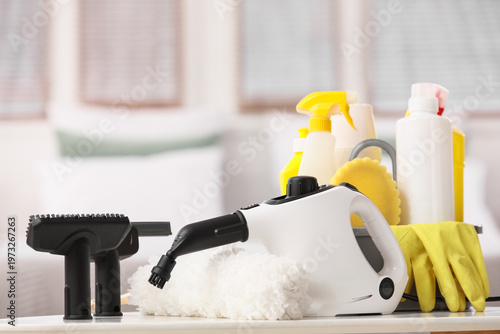 Modern steam cleaner with s...