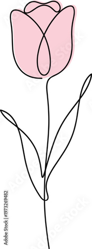 Elegant pink tulip flower drawn with a continuous single line art style on a clean white background. Vector