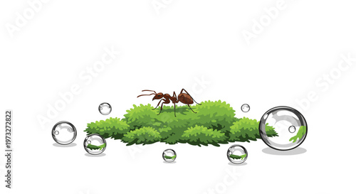 A solitary brown ant meticulously traverses a lush green moss patch surrounded by several large transparent spherical floating water droplets on white.