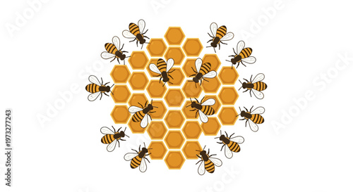 Bee illustration flat design