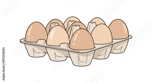 Brown eggs in carton container.
