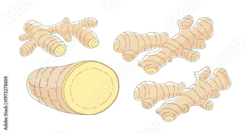 Fresh ginger root slices and pieces.