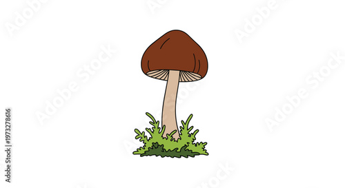 A solitary brown mushroom with a textured cap and thick pale stalk grows from a lush patch of vibrant green moss against a clean white background.