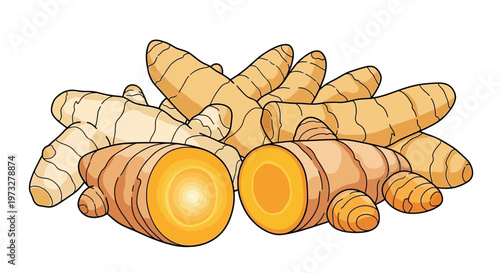 Fresh organic turmeric root closeup view.