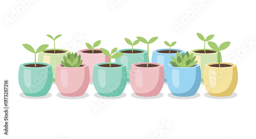 A charming collection of small green sprouts and succulents are planted in various pastel colored ceramic pots arranged neatly against a clean white background.