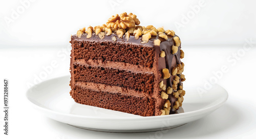 Chocolate Cake Slice with Nuts on White Plate