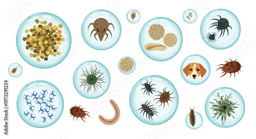 Various microscopic allergens including dust mites and pet dander are meticulously depicted inside translucent blue bubbles against a pristine white background.