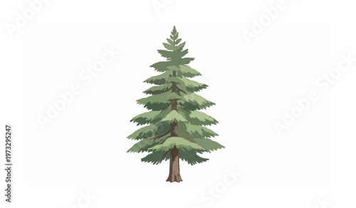 Watercolor Cedar Tree Vector Illustration with Natural Green Foliage Isolated on White Background
