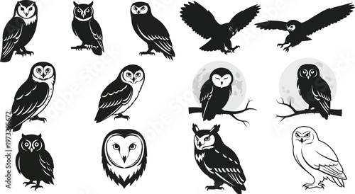 Compilation of owl silhouettes in different poses, some flying, some perched, against a moonlit sky background, tree branch, spirit animal, barn owl, great horned owl, screech owl, burrowing owl