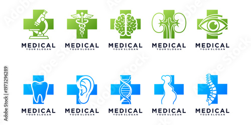 Clean medical logo set with cross, ECG pulse, and green leaf icons in blue and green color, ideal for medical branding.
