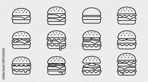 set of burger vector