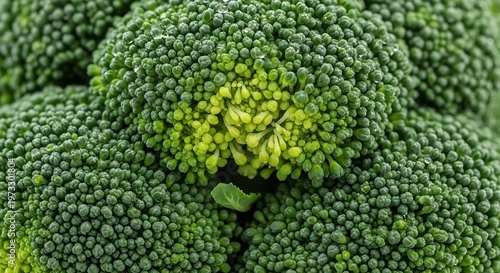 Close-up broccoli texture fresh green vegetable healthy eating concept organic food background natural pattern detailed macro shot