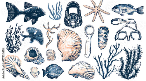 Collection of Underwater Objects and Marine Life Illustrations.