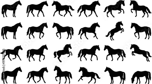 Mega collection of 20 graceful horse poses silhouettes solid black shapes vector