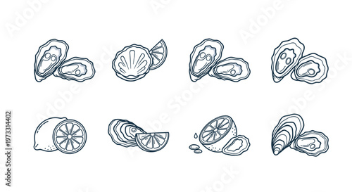 Collection of hand-drawn oyster and lemon illustrations in a simple line art style