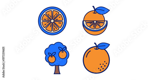Collection of stylized orange fruit icons and tree on white background