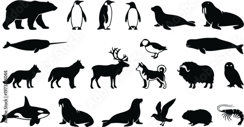 Mega collection of 20 arctic and antarctic animal silhouettes solid black shapes vector