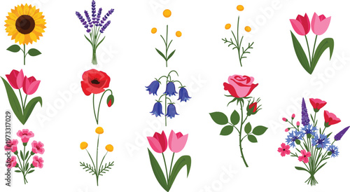 Fotografía Floral Flower Vector Set with Rose Tulip Sunflower Lavender Wildflowers Isolated