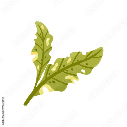 Watercolor Moldy Green Foliage Leaf Illustration