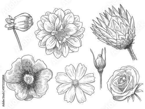 engraving flowers