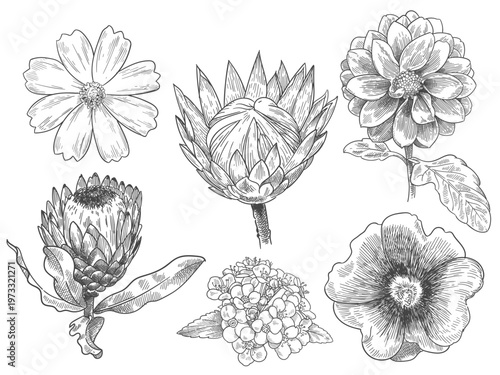 engraving etching flowers