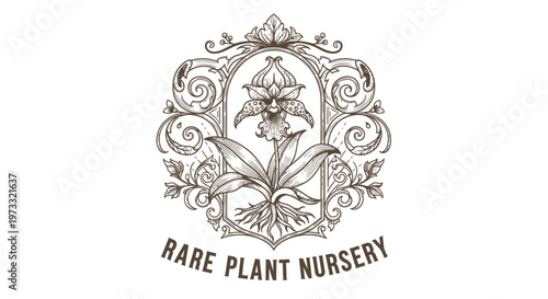 Vintage Orchid Logo Emblem - Rare Plant Nursery Botanical Illustration