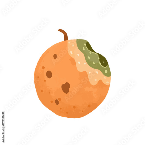 watercolor of a rotting orange with soft bruises and green mold patches
