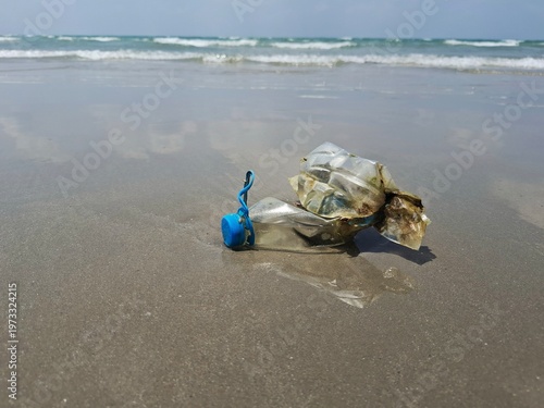 Ocean's Lament: A lone discarded plastic bottle, weathered by the elements, lies forlornly upon the sandy beach, a stark reminder of environmental negligence against the serene backdrop of the ocean.