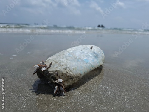 Plastic Bottle on Seashore: A discarded plastic bottle lies abandoned on the sandy shore. Covered with clinging organisms, it serves as a stark reminder of human impact on the environment.