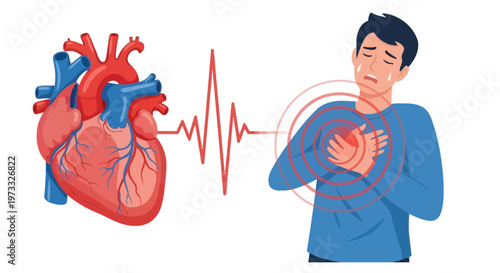 Man experiencing severe chest pain due to heart problems with an anatomical human heart vector graphic illustration