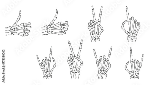 Human skeleton hand gestures collection featuring various signs such as peace, rock on, pointing, and thumbs up in a vintage sketch style.