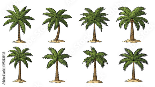 Collection of eight different palm tree illustrations shows various sizes and leaf structures standing on small mounds of sand.