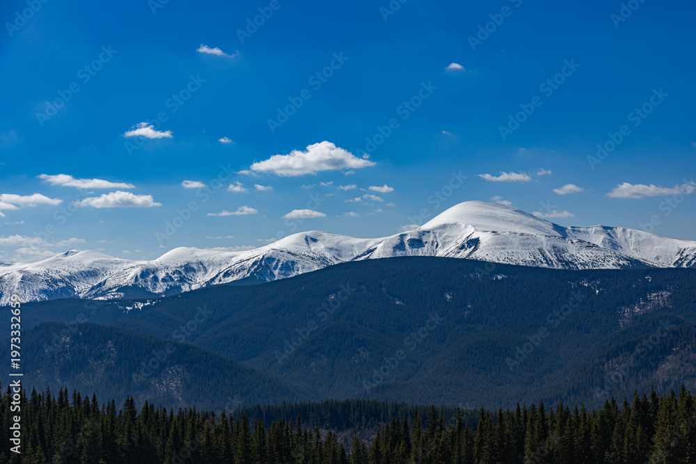 Fototapeta premium Snowy peaks of Hoverla and Petros mountains in Ukrainian Carpathians
