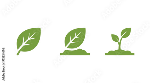 Plant growth stages icon set: leaf, sprout, seedling on white background