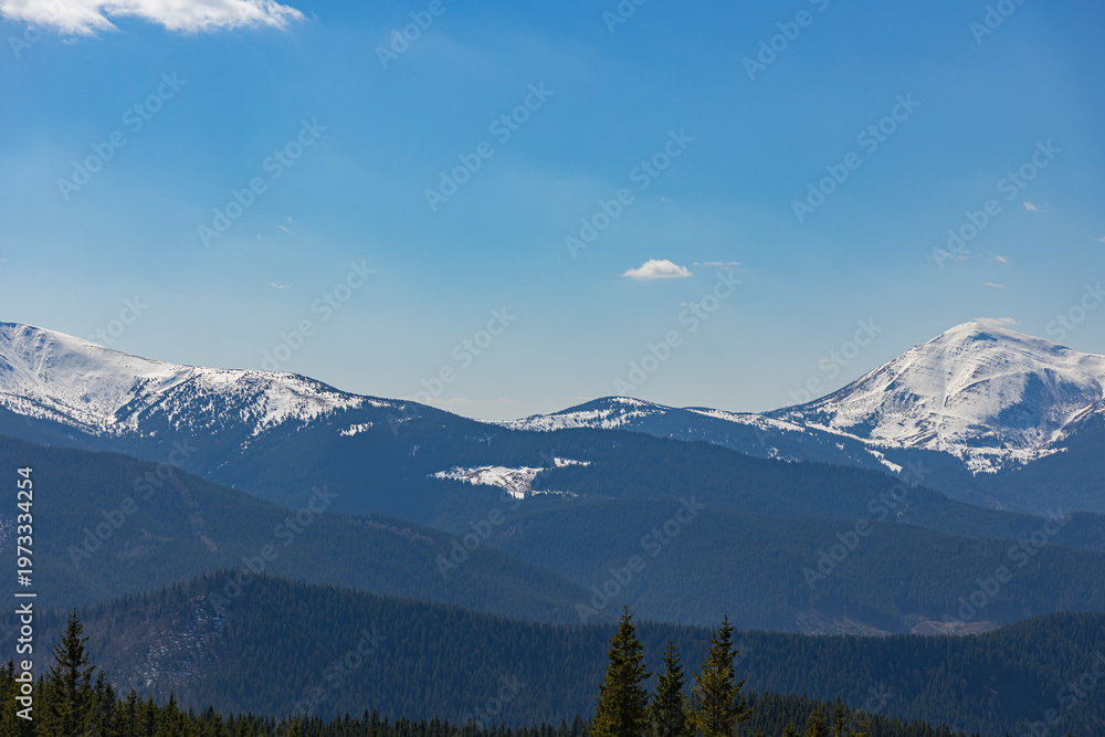 Obraz premium Snowy peaks of Hoverla and Petros mountains in Ukrainian Carpathians
